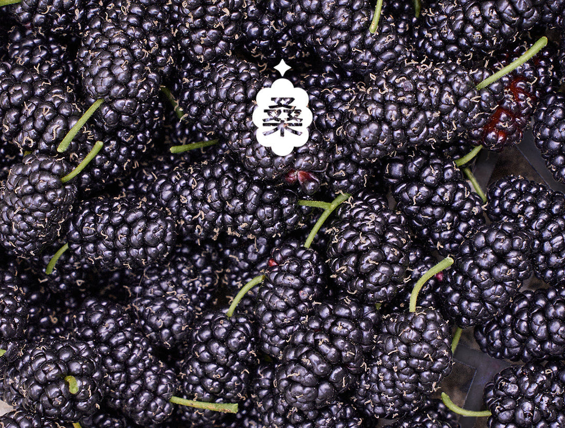 🌿 5 Powerful Health Benefits of Mulberries: The Superfruit You Should Enjoy Daily