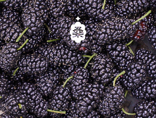 Mulberry vs Blueberry: The Ultimate Guide to Eye Fatigue Foods, Natural Antioxidant Drinks & Children's Anthocyanin Drinks