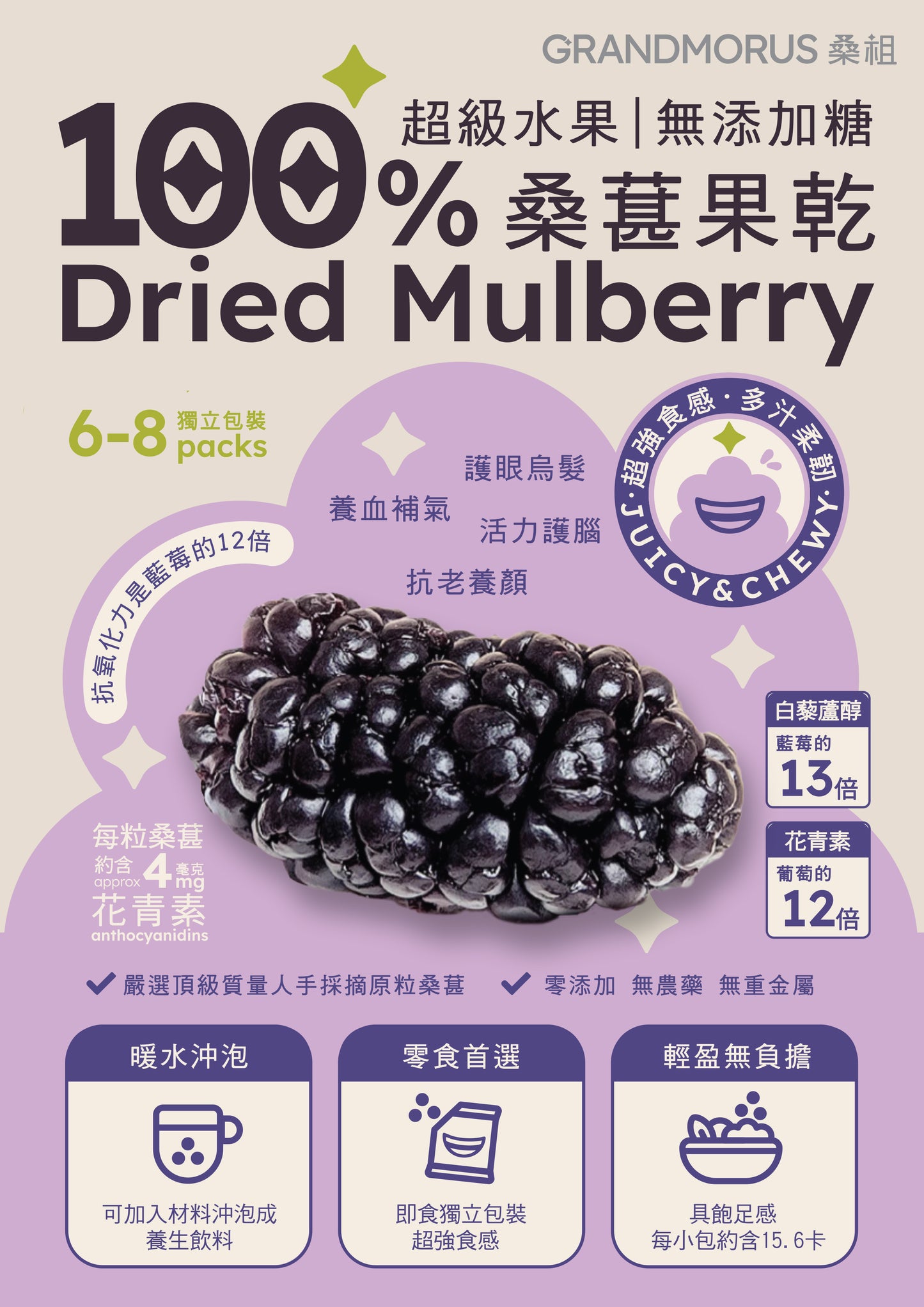 Grandmorus 100% Dried Mulberry 48g- No Added Sugar (Best before: 25 August 2026)