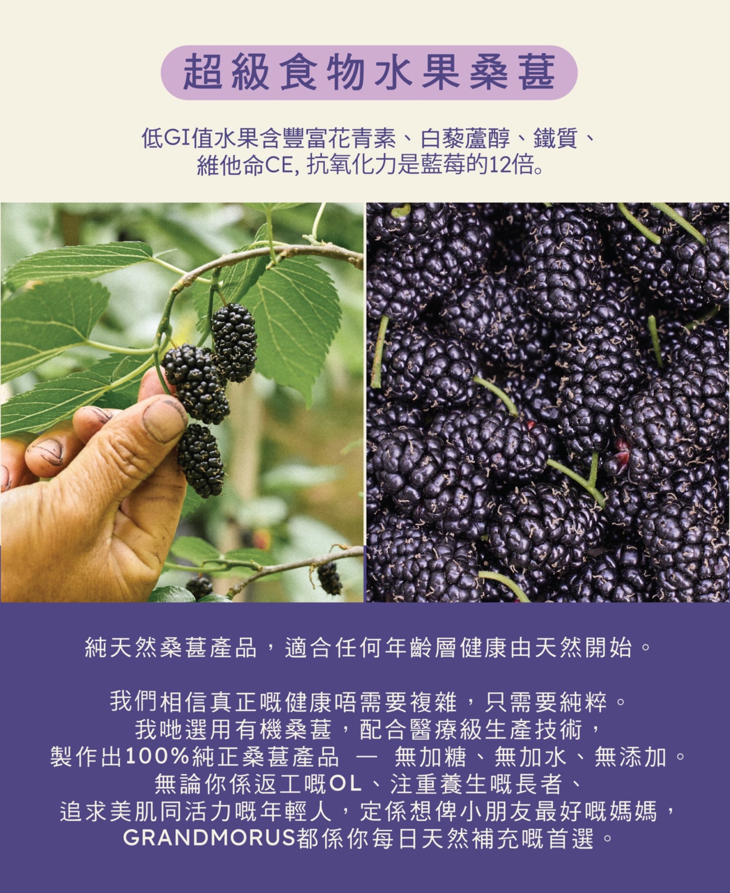 營養師推薦：桑祖體驗裝